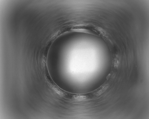 X0000065250476200602171433