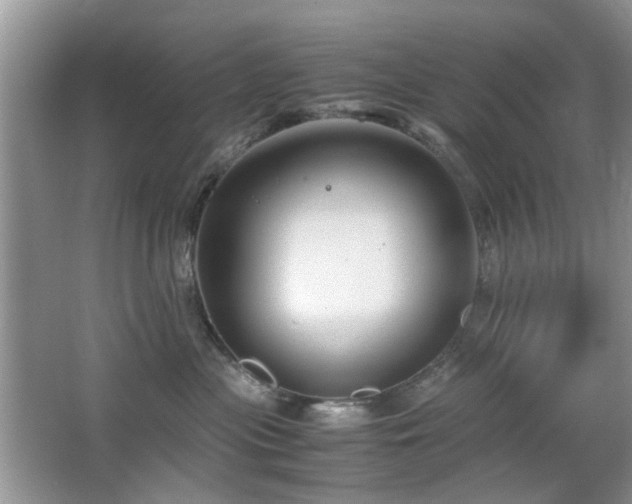 X0000065250477200602171433