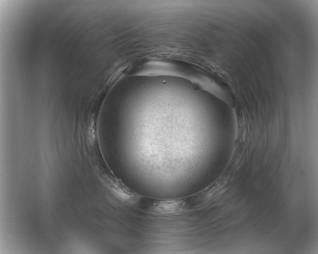 X0000065250479200602171433