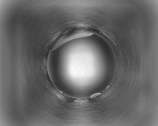 X0000065250480200602171433