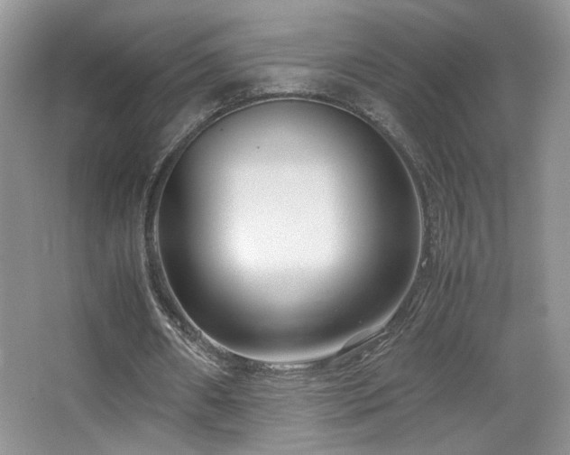 X0000065250482200602171432