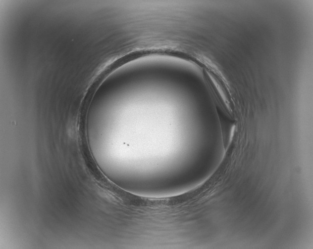 X0000065250483200602171432