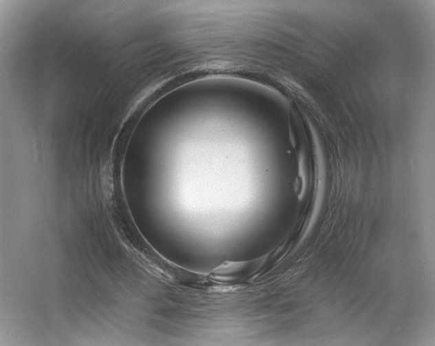 X0000065250484200602171432