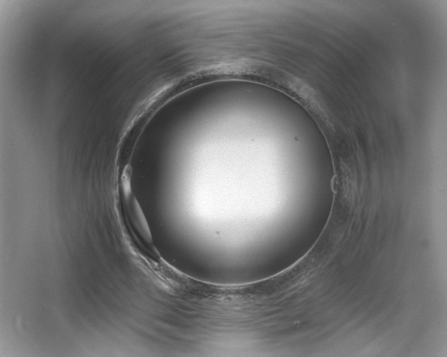 X0000065250486200602171432