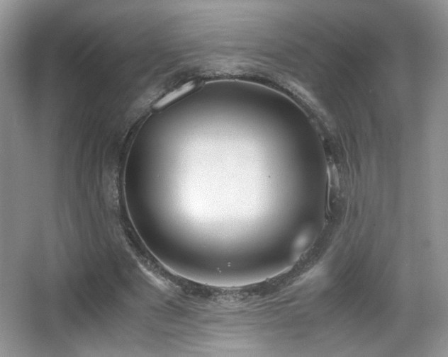 X0000065250489200602171432