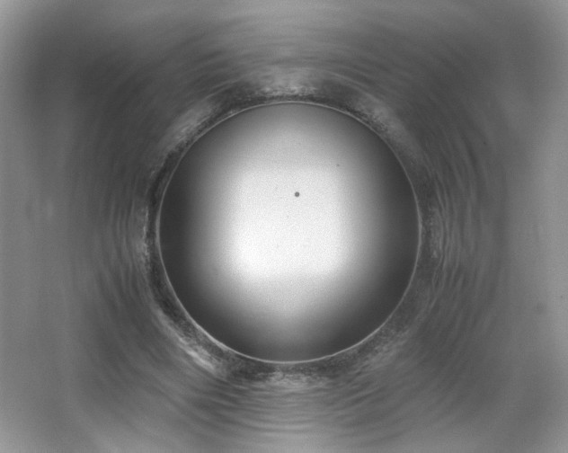 X0000065250490200602171432