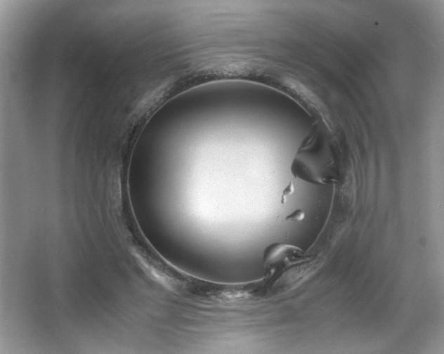 X0000065250493200602171432
