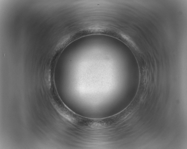 X0000065250494200602171432
