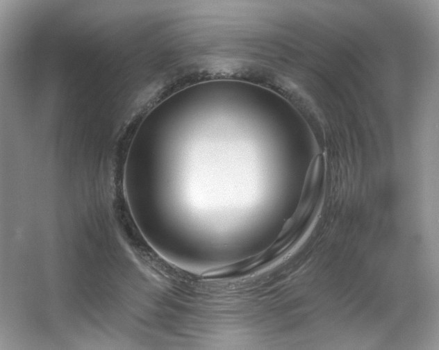 X0000065250496200602171432