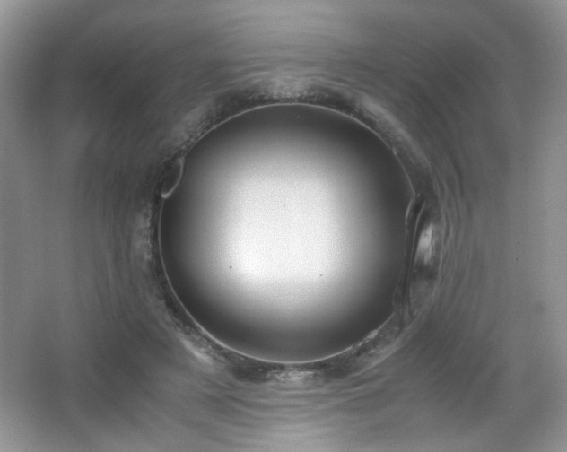 X0000065250497200602171431