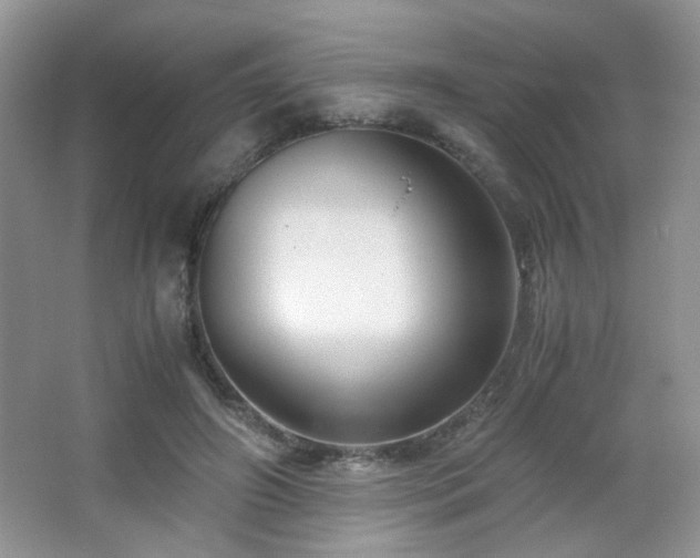 X0000065250498200602171431