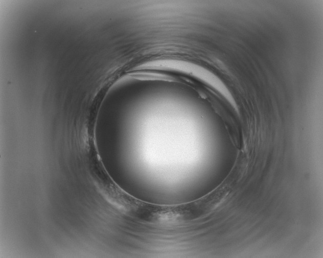 X0000065250500200602171431