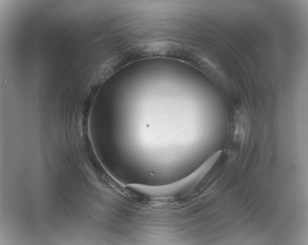 X0000065250504200602171431