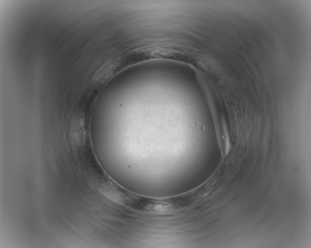 X0000065250506200602171431