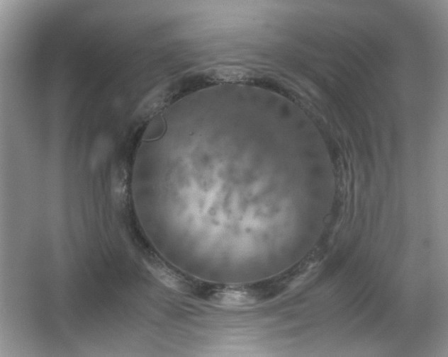 X0000065250507200602171431