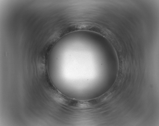 X0000065250510200602171431