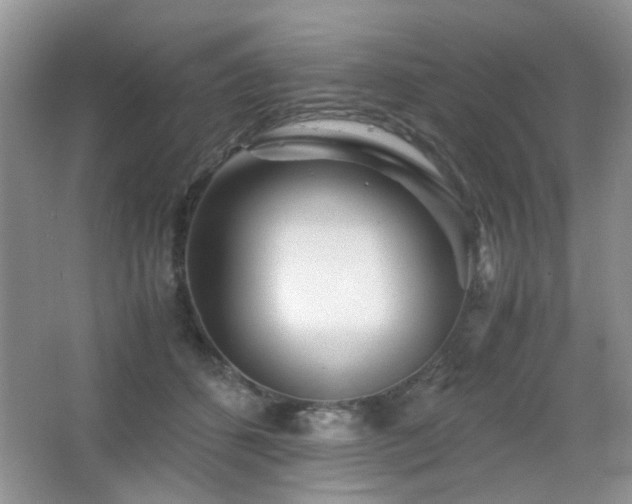 X0000065250512200602171431