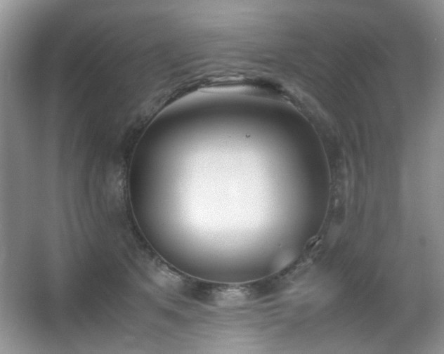 X0000065250513200602171431
