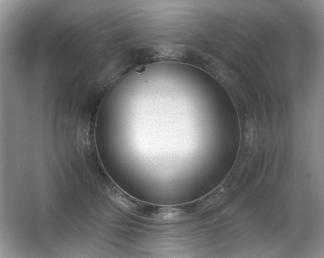 X0000065250514200602171431