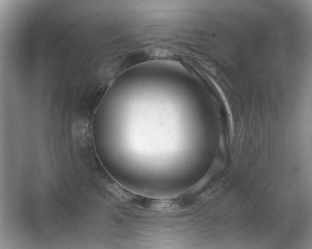 X0000065250521200602171431