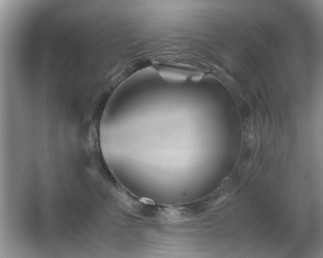 X0000065250523200602171431