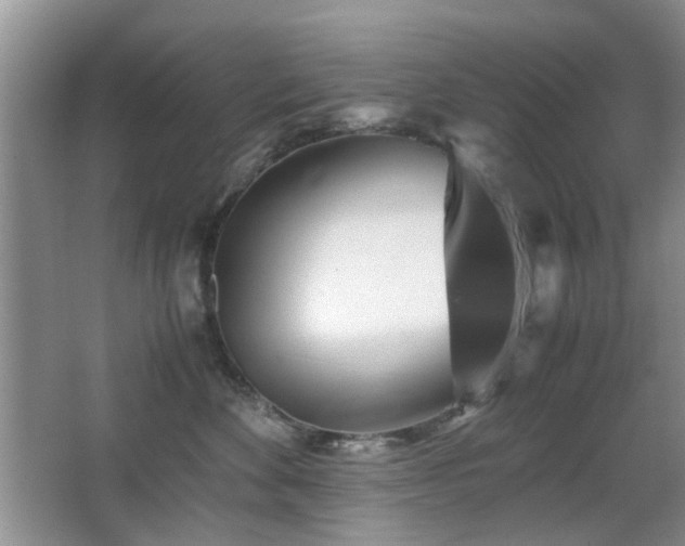 X0000065250524200602171431