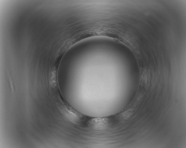X0000065250526200602171431