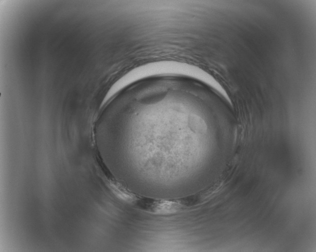 X0000065250527200602171431