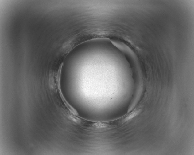X0000065250528200602171431