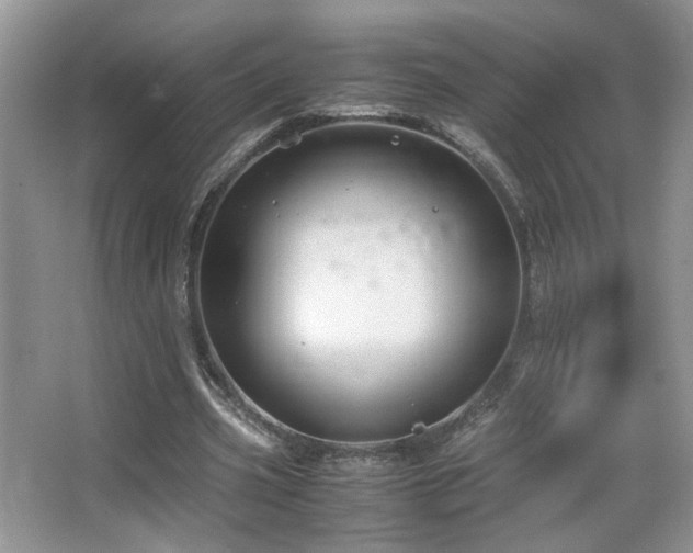 X0000065250533200602171430