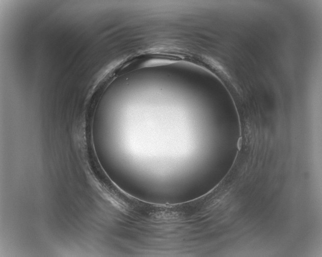 X0000065250535200602171430