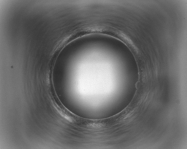 X0000065250537200602171430