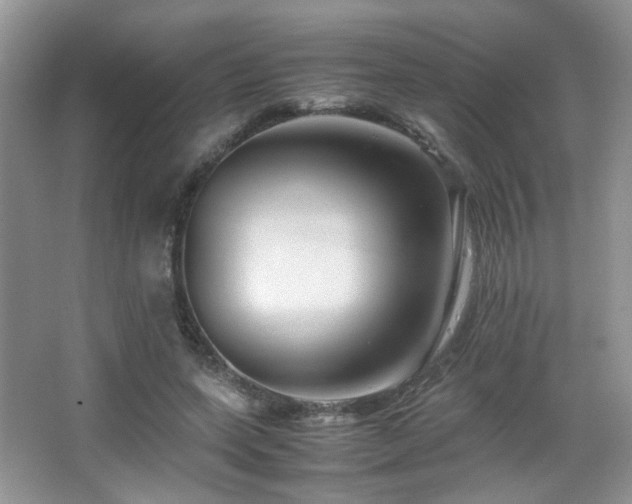 X0000065250543200602171430