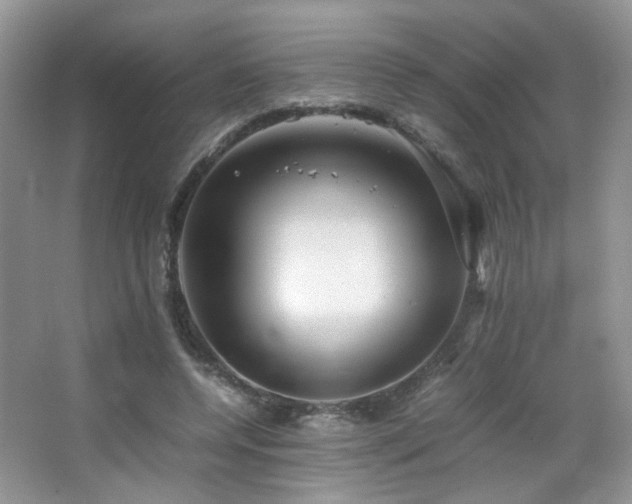 X0000065250544200602171430