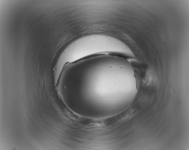 X0000065250552200602171430