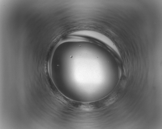 X0000065250556200602171431