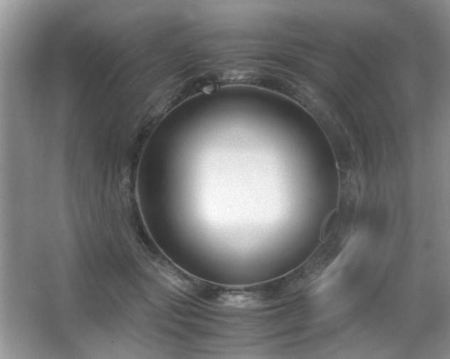 X0000065250557200602171431
