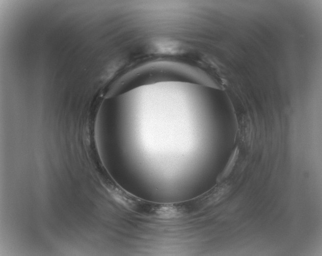 X0000065250562200602171431