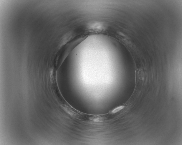 X0000065250564200602171431