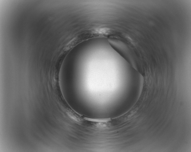 X0000065250566200602171431