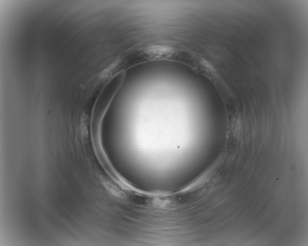 X0000065250570200602171431