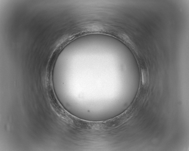 X0000065250579200602171430