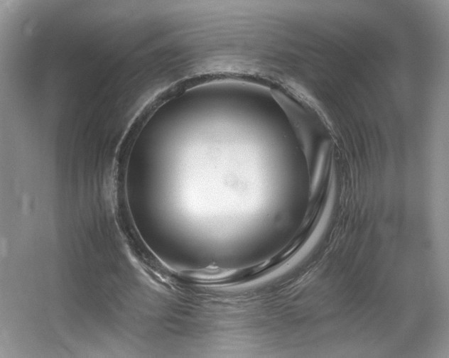 X0000065250580200602171430