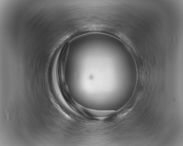 X0000065250581200602171430