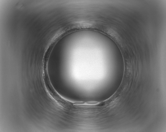 X0000065250582200602171430