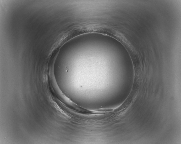 X0000065250585200602171430