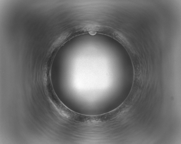 X0000065250586200602171430