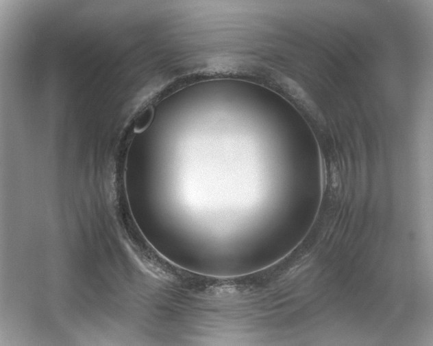 X0000065250588200602171430