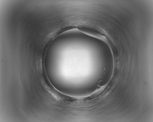 X0000065250589200602171430