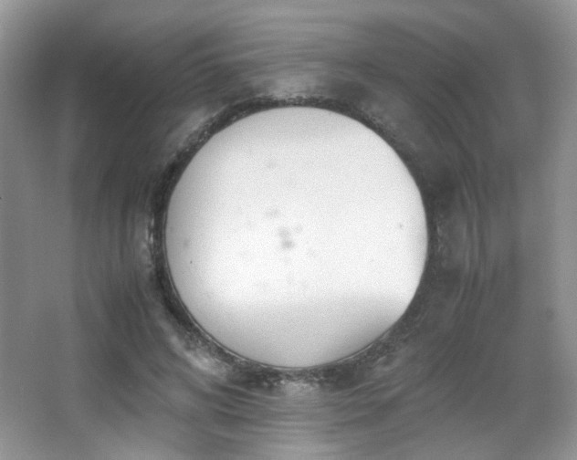 X0000065250592200602171430